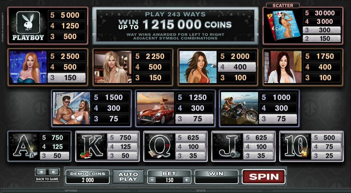 PlayBoy video slot - cards and symbols